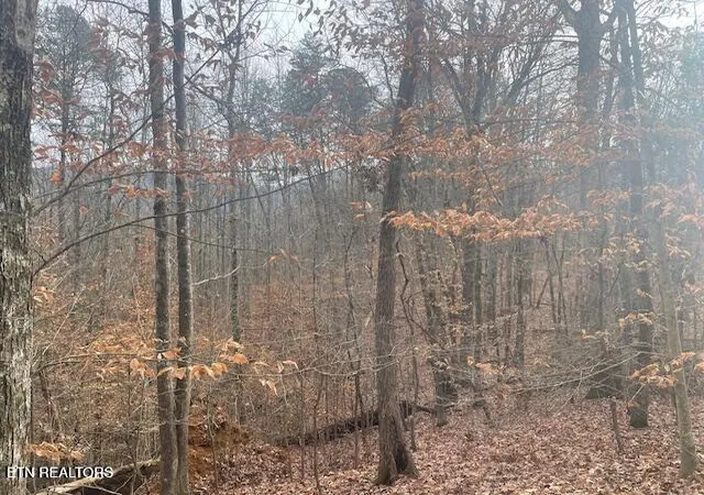 5th image of 1008 Blair Loop Rd, Walland, TN 37886 | MLS# 1332181
