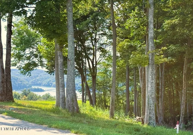 Photo 1 of Land for sale at 41b Bald Eagle Rd, Hilham, TN 38568 | MLS# 1332829 | Listing updated on 2026-09-10