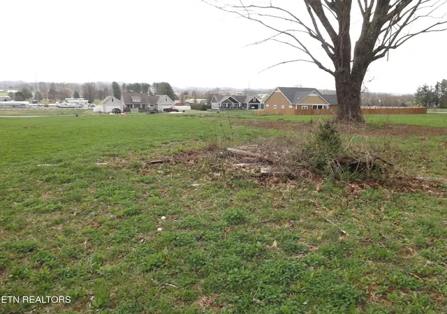 4th image of 132 Auggie Belle Ln, Speedwell, TN 37870 | MLS# 1332272