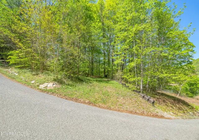 1st image of Lot 51 S Shorewood Dr, Caryville, TN 37714 | MLS# 1332664