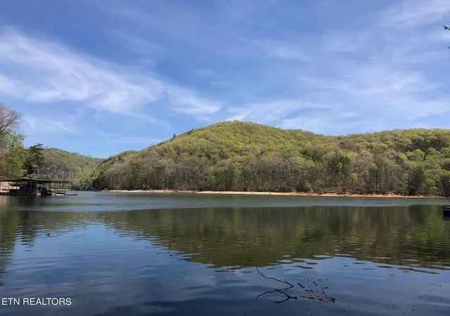 22nd image of Lot 51 S Shorewood Dr, Caryville, TN 37714 | MLS# 1332664