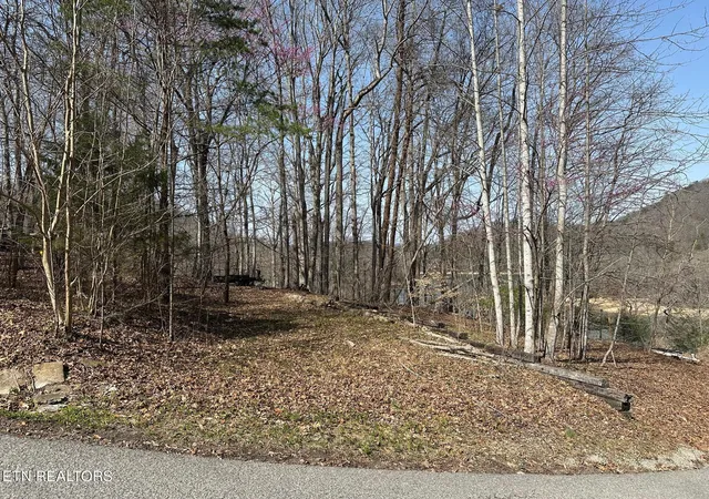 2nd image of Lot 51 S Shorewood Dr, Caryville, TN 37714 | MLS# 1332664