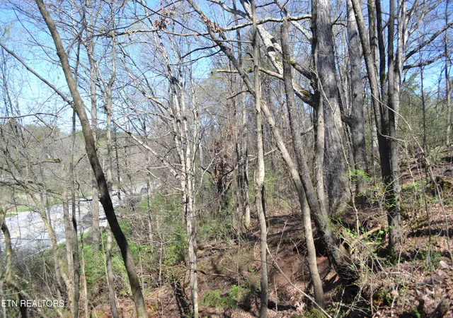 20th image of 3024 Us 411, Maryville, TN 37801 | MLS# 1332491