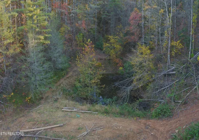 4th image of 410 Seay Hollow Rd, Del Rio, TN 37727 | MLS# 1332623