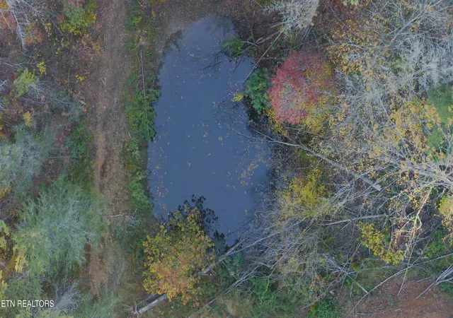 5th image of 410 Seay Hollow Rd, Del Rio, TN 37727 | MLS# 1332623