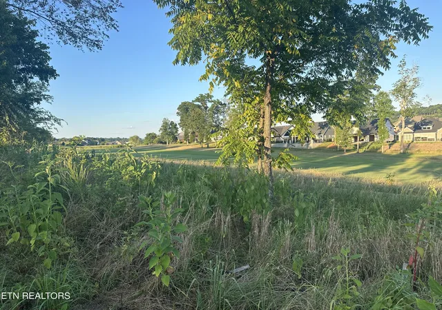 Photo 3 of Land for sale at 987 Mockingbird Ln, Loudon, TN 37774 | MLS# 1332549 | Listing updated on 2026-07-29