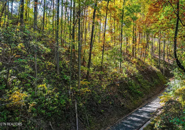 Photo 4 of Land for sale at Lot 6 Emerald Springs Loop, Sevierville, TN 37862 | MLS# 1332556 | Listing updated on 2026-07-10