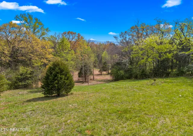 2nd image of Bogard Rd, Newport, TN 37821 | MLS# 1336413