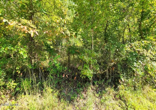5th image of Mel Hall Rd, Maryville, TN 37803 | MLS# 1332720