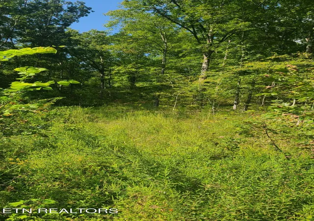 Photo 2 of Land for sale at Lot 5 Mel Hall Rd, Maryville, TN 37803 | MLS# 1332723 | Listing updated on 2026-09-15