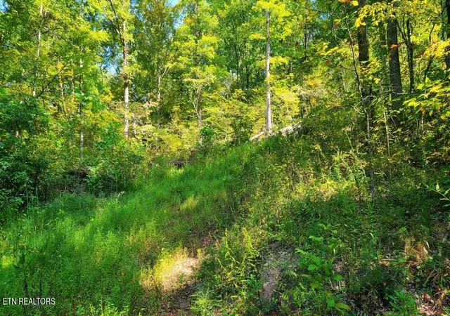 Photo 4 of Land for sale at Lot 5 Mel Hall Rd, Maryville, TN 37803 | MLS# 1332723 | Listing updated on 2026-09-15