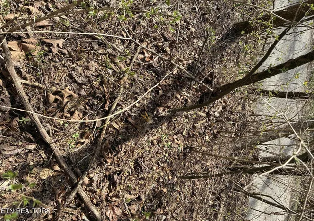 Photo 3 of Land for sale at 0 Alex Bales Rd Lot 1, Kodak, TN 37764 | MLS# 1333440 | Listing updated on 2026-09-10