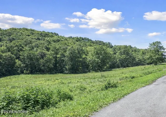 Homes for sale in Greeneville, TN | 19 Acres Cecil Davis Rd, Greeneville, TN 37743 | MLS# 1332807