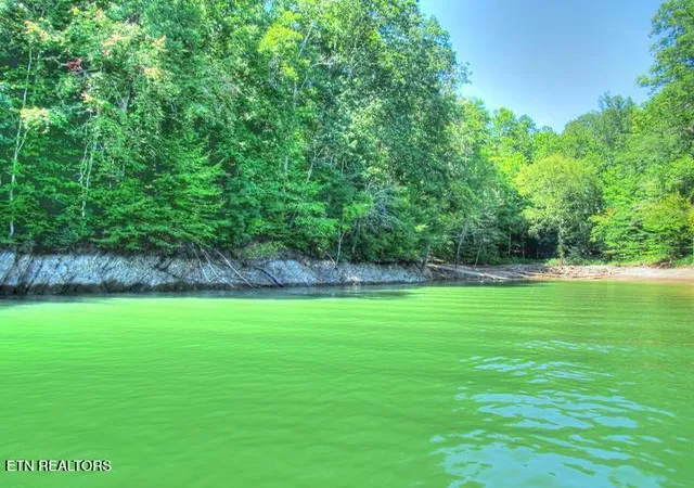 Homes for sale in New Tazewell, TN | Lot 33 Mountain Shores Rd, New Tazewell, TN 37825 | MLS# 1332856
