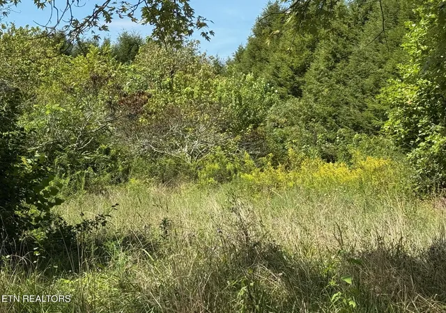 Photo 4 of Land for sale at 1235 Tatesville Rd, Palmer, TN 37365 | MLS# 1332988 | Listing updated on 2026-05-22