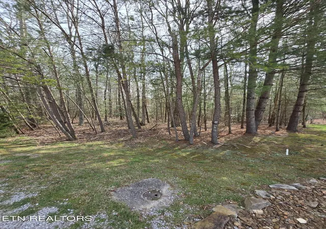 Homes for sale in Crossville, TN | 16 Holly Ct, Crossville, TN 38558 | MLS# 1333904