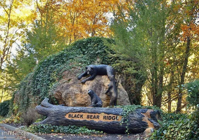 50th image of 922 Black Bear Cub Wy, Sevierville, TN 37862 | MLS# 1333528