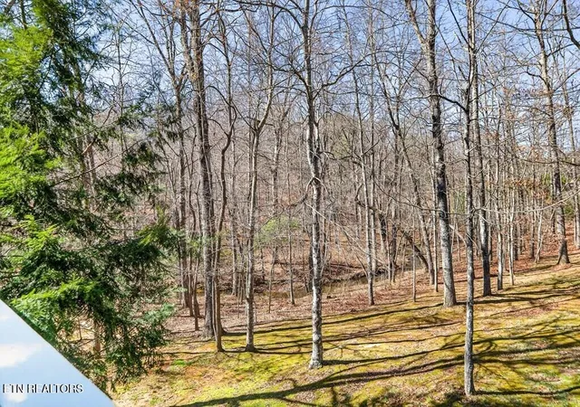 Homes for sale in Spencer, TN | 499 Hemlock Ln, Spencer, TN 38585 | MLS# 1333204