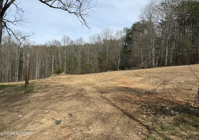 Homes for sale in Andersonville, TN | 0 Turner Rd, Andersonville, TN 37705 | MLS# 1333224