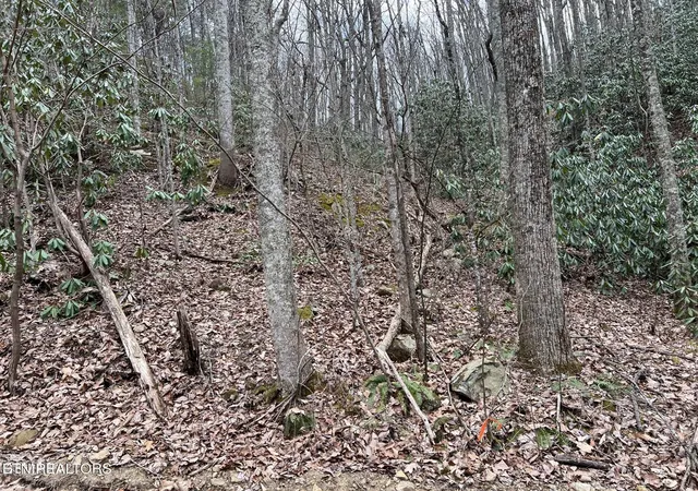 Photo 1 of Land for sale at Lot 120 John Sevier Dr, Sevierville, TN 37876 | MLS# 1358647 | Listing updated on 2026-10-12