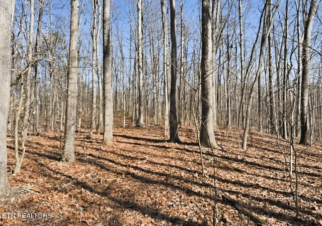 Land for sale at 180 Hill Rd, Knoxville, TN 37938 | MLS# 1333597