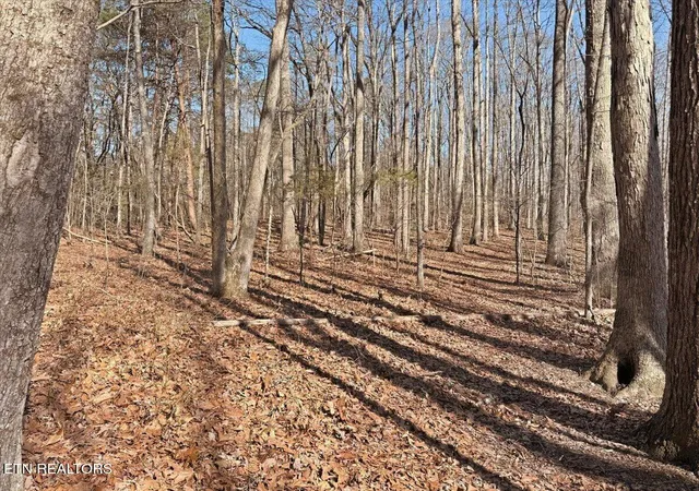 Photo 3 of Land for sale at 180 Hill Rd, Knoxville, TN 37938 | MLS# 1333597 | Listing updated on 2026-09-15