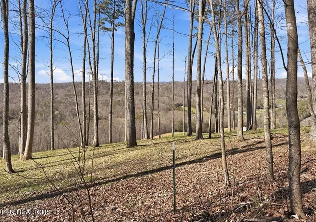 Photo 3 of Land for sale at 180 Hill Rd, Knoxville, TN 37938 | MLS# 1333597 | Listing updated on 2026-09-15