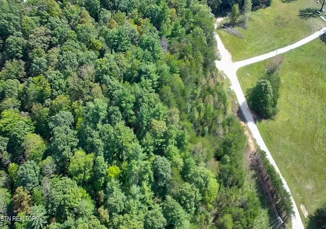 Homes for sale in Oneida, TN | Bear Hollow Rd, Oneida, TN 37841 | MLS# 1333547