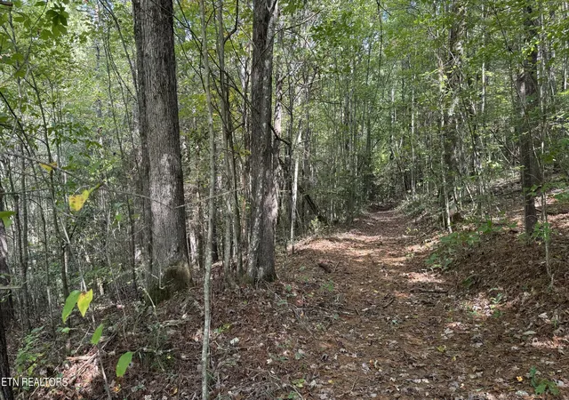 Homes for sale in Oneida, TN | Bear Hollow Rd, Oneida, TN 37841 | MLS# 1333547