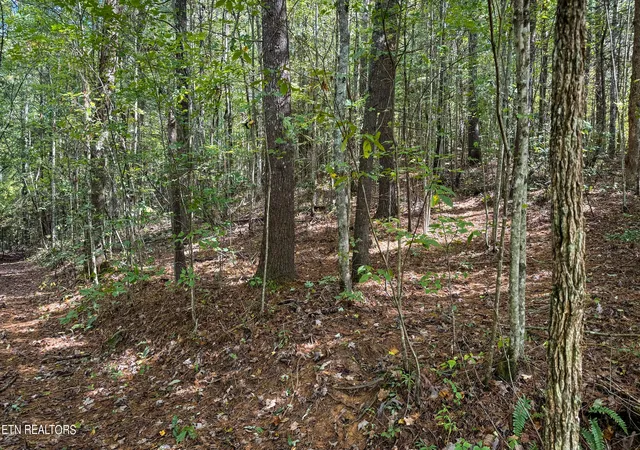 Homes for sale in Oneida, TN | Bear Hollow Rd, Oneida, TN 37841 | MLS# 1333547