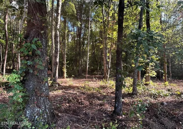 13th image of Tract 4 Pleasant Hill Rd, Ten Mile, TN 37880 | MLS# 1333666