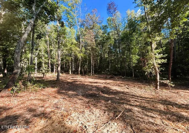 1st image of Tract 4 Pleasant Hill Rd, Ten Mile, TN 37880 | MLS# 1333666