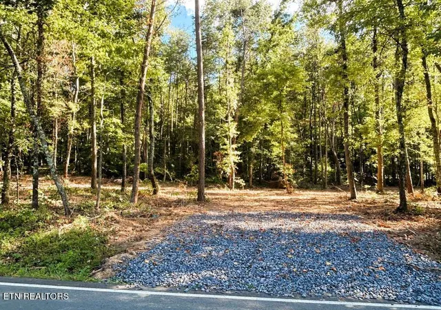 2nd image of Tract 4 Pleasant Hill Rd, Ten Mile, TN 37880 | MLS# 1333666