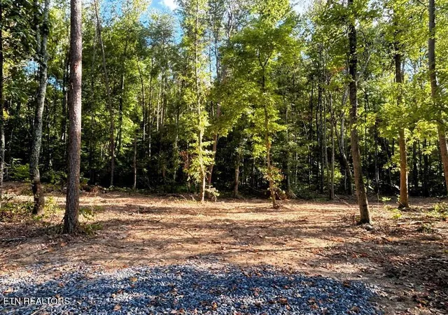 3rd image of Tract 4 Pleasant Hill Rd, Ten Mile, TN 37880 | MLS# 1333666