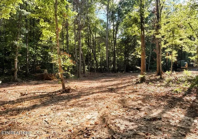 4th image of Tract 4 Pleasant Hill Rd, Ten Mile, TN 37880 | MLS# 1333666