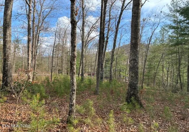 Photo 1 of Land for sale at Mountain Ash Way, Sevierville, TN 37876 | MLS# 1333857 | Listing updated on 2026-09-18