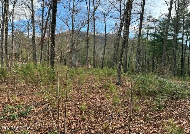 Photo 3 of Land for sale at Mountain Ash Way, Sevierville, TN 37876 | MLS# 1333857 | Listing updated on 2026-09-18