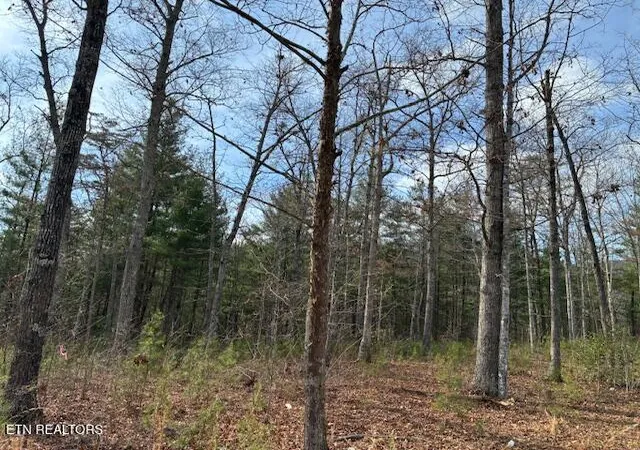 Photo 3 of Land for sale at Mountain Ash Way, Sevierville, TN 37876 | MLS# 1333857 | Listing updated on 2026-09-18