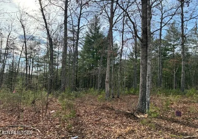 Photo 4 of Land for sale at Mountain Ash Way, Sevierville, TN 37876 | MLS# 1333857 | Listing updated on 2026-09-18