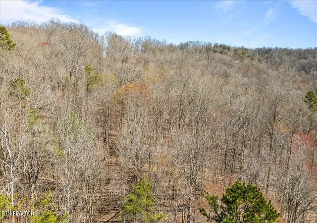 Homes for sale in Jacksboro, TN | 105ac Hiwassee View Dr, Jacksboro, TN 37757 | MLS# 1333696