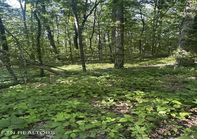 3rd image of Prettiest Sunset Wy #Lot 4, Seymour, TN 37865 | MLS# 1333819
