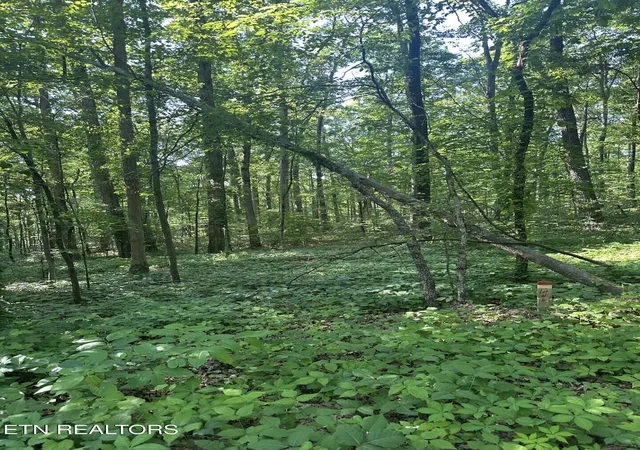 4th image of Prettiest Sunset Wy #Lot 4, Seymour, TN 37865 | MLS# 1333819