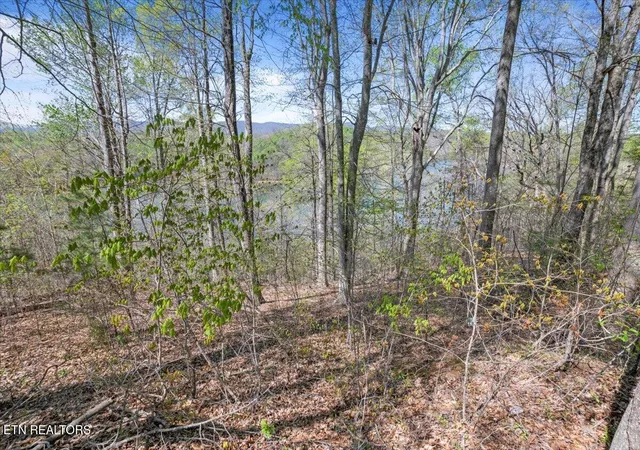 Homes for sale in Jacksboro, TN | Lot 44 Hiwassee Dr, Jacksboro, TN 37757 | MLS# 1333790