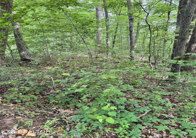 Photo 3 of Land for sale at Prettiest Sunset Way #Lot 5, Seymour, TN 37865 | MLS# 1333818 | Listing updated on 2026-09-04