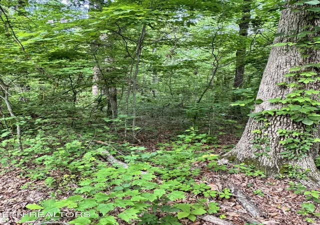 Photo 4 of Land for sale at Prettiest Sunset Way #Lot 5, Seymour, TN 37865 | MLS# 1333818 | Listing updated on 2026-09-04