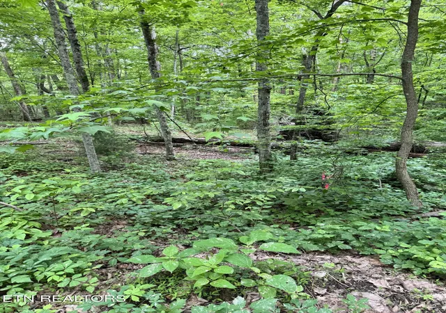 5th image of Prettiest Sunset Wy #Lot 3, Seymour, TN 37865 | MLS# 1333821