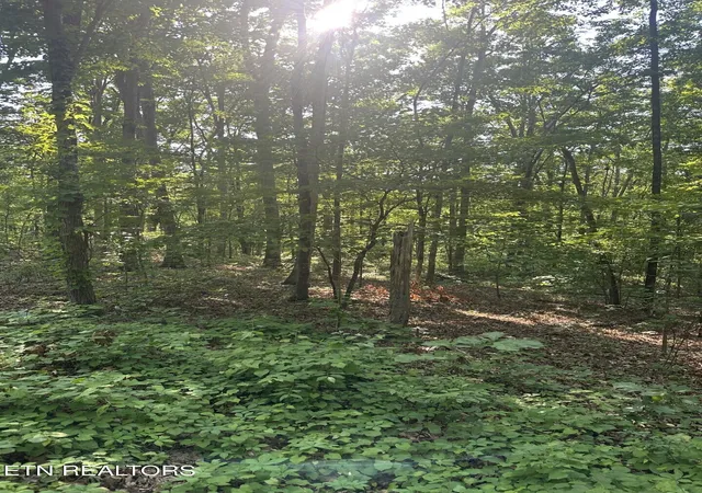 3rd image of Prettiest Sunset Wy #Lot 3, Seymour, TN 37865 | MLS# 1333821