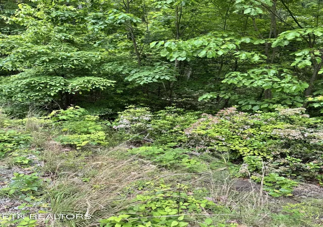 Homes for sale in Seymour, TN | Goose Creek Rd #Lot 1, Seymour, TN 37865 | MLS# 1333877