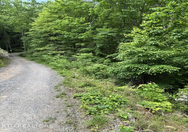 Homes for sale in Seymour, TN | Goose Creek Rd #Lot 1, Seymour, TN 37865 | MLS# 1333877