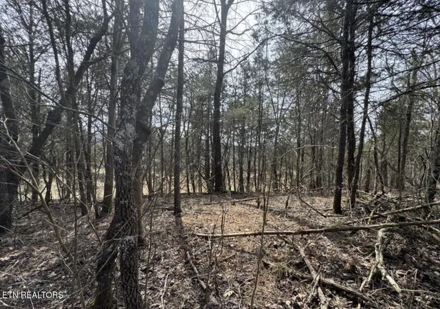 10th image of Bear Creek Rd Off Rd, Bybee, TN 37713 | MLS# 1333869